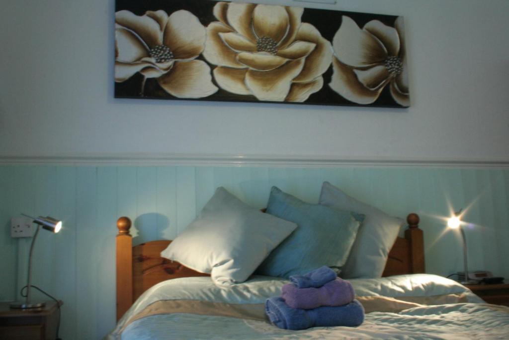Devon View Guesthouse Swansea Room photo